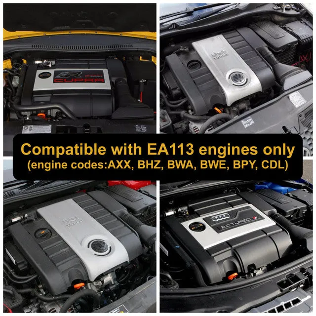 Ramair Oversized Performance Intake Kit - 2.0 TFSI EA113