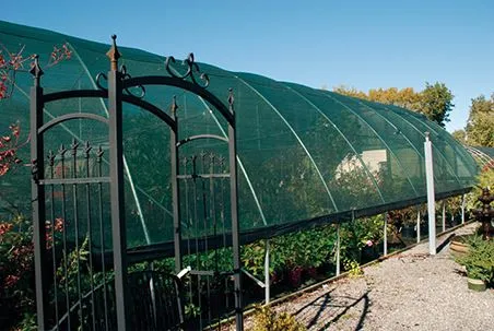 Shade Cloth Offers High Quality Sun Protection Green