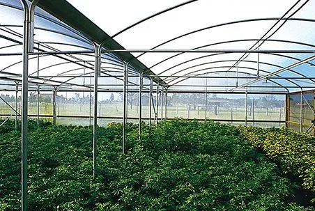 Shade Cloth Offers High Quality Sun Protection Green