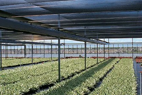 Shade Cloth Offers High Quality Sun Protection Green
